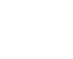 logo marco morettoni tecnico web bianco